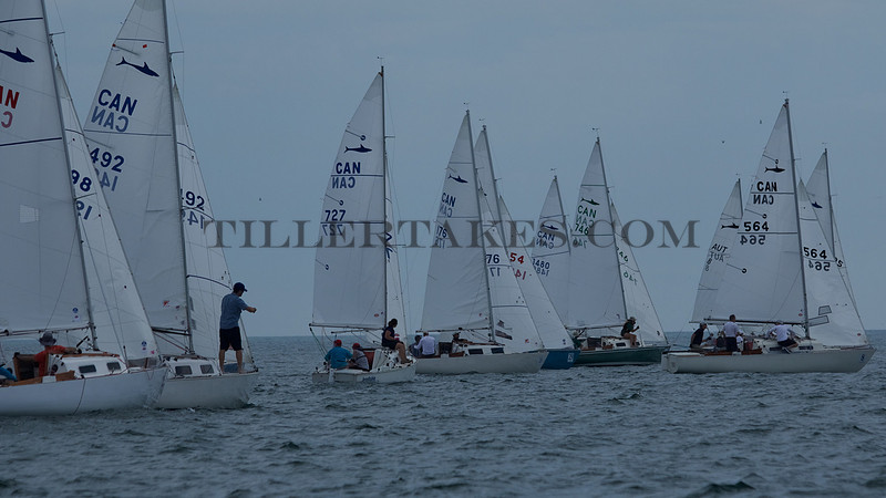 Tiller Races Tillertakes Inc | Day 1 - Practice Race | Photo 3