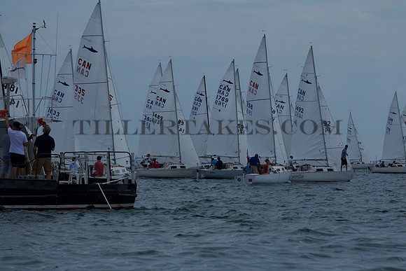 Tiller Races Tillertakes Inc | Day 1 - Practice Race | Photo 6