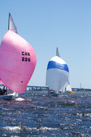 Soling downwind